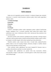 Darbas ir darbo samprata 3 puslapis