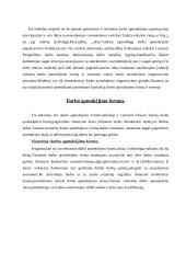 Darbas ir darbo samprata 6 puslapis