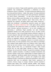 Kūdikystė. Kognityvinė raida 0-2 m.  3 puslapis