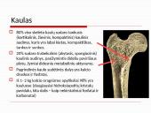 Osteoperozės profilaktikai ir gydymui vartojamų vaistų farmakologinių savybių apžvalga 2 puslapis