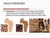 Osteoperozės profilaktikai ir gydymui vartojamų vaistų farmakologinių savybių apžvalga 17 puslapis