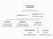 Osteoperozės profilaktikai ir gydymui vartojamų vaistų farmakologinių savybių apžvalga 20 puslapis