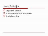 Osteoperozės profilaktikai ir gydymui vartojamų vaistų farmakologinių savybių apžvalga 3 puslapis