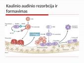 Osteoperozės profilaktikai ir gydymui vartojamų vaistų farmakologinių savybių apžvalga 4 puslapis