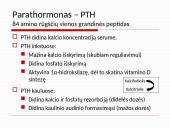 Osteoperozės profilaktikai ir gydymui vartojamų vaistų farmakologinių savybių apžvalga 8 puslapis