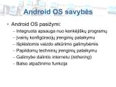 Kas tai yra operacinė sistema (OS) 17 puslapis