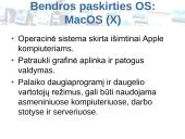 Kas tai yra operacinė sistema (OS) 10 puslapis