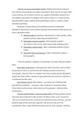 Ekonominio augimo samprata 2 puslapis