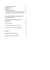 Taikomasis menas, amatai, dizainas 2 puslapis