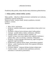 Taikomasis menas, amatai, dizainas 6 puslapis