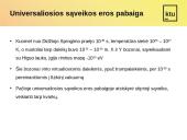 Universaliosios sąveikos era 13 puslapis