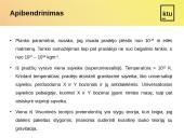 Universaliosios sąveikos era 14 puslapis