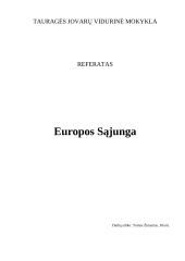Europos Sąjunga (ES) išsamiai