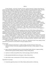 Europos Sąjunga (ES) išsamiai 2 puslapis