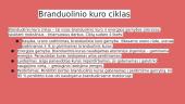Branduolinio kuro gamyba 3 puslapis