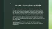 Versalio sistema ir jos esmė 5 puslapis