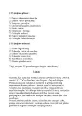 Europos Sąjunga (ES) bei Lietuva 3 puslapis