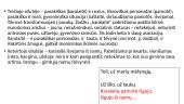 Jonas Aistis "Apie rudenį ir šunį" interpretacija 4 puslapis