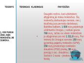 Faktai apie mokesčius 15 puslapis