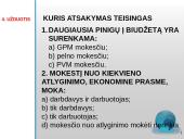 Faktai apie mokesčius 17 puslapis