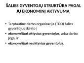 Šalies ekonominė būklė 9 puslapis