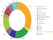 Valstybės (šalies) biudžetas  11 puslapis