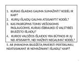 Valstybės (šalies) biudžetas  12 puslapis