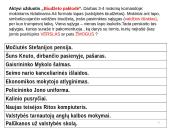 Valstybės (šalies) biudžetas  13 puslapis