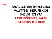 Valstybės (šalies) biudžetas  17 puslapis