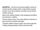 Valstybės (šalies) biudžetas  3 puslapis