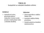 Valstybės (šalies) biudžetas  5 puslapis