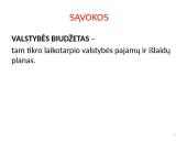 Valstybės (šalies) biudžetas  7 puslapis