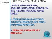 Infliacija bei defliacija 16 puslapis
