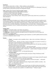 Kamiu, Aistis ir Radauskas (konspektai) 3 puslapis