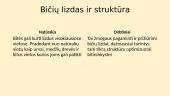 Bičių lizdas, šeima ir komunikacija 3 puslapis