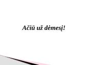 Prezentacija: ﻿Moterų paveikslai lietuvių literatūroje 8 puslapis