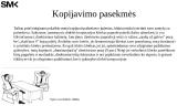 Teritoriniai ir nuosavybės gestai/ kopijavimas 13 puslapis