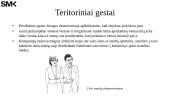 Teritoriniai ir nuosavybės gestai/ kopijavimas 4 puslapis