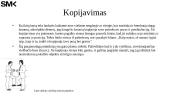 Teritoriniai ir nuosavybės gestai/ kopijavimas 10 puslapis