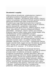 Afrikos augalija 2 puslapis