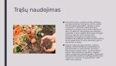 Trąšos, jų gaminimas bei naudojimai 10 puslapis