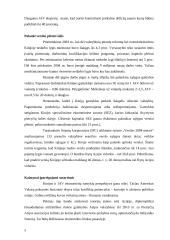 Jungtinių Amerikos Valstijų (JAV) ir Kinijos prekybiniai santykiai 5 puslapis