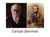 Pasaulėžiūros pokyčiai 3 puslapis