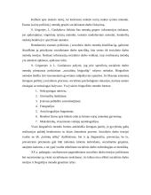 Kaip galimas socialinio darbo mokslas 3 puslapis