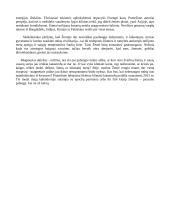 Klimato atšilimas. Pasaulio pabaiga? 2 puslapis