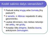 Lietuvių kalbos vienarūšės sakinio dalys 3 puslapis