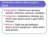 Lietuvių kalbos vienarūšės sakinio dalys 5 puslapis