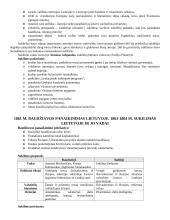 Lietuvos visuomenė Europos ir pasaulio pokyčių XIX–XX a. pr. aplinkoje 13 puslapis