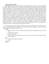 Lietuvos visuomenė Europos ir pasaulio pokyčių XIX–XX a. pr. aplinkoje 4 puslapis