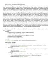 Lietuvos visuomenė Europos ir pasaulio pokyčių XIX–XX a. pr. aplinkoje 5 puslapis